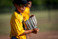 2026-07-23 - PAL Yellow vs Orange Pontiac United Giants