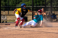 2026-07-30 - PAL Yellow vs PAL Teal